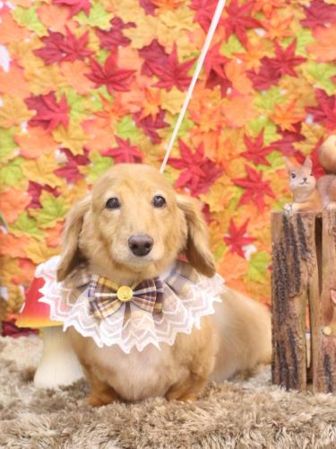 20241103レオンくん